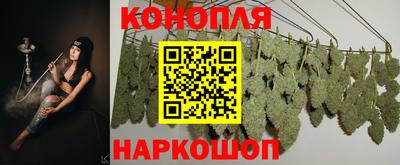 стафф Донецк
