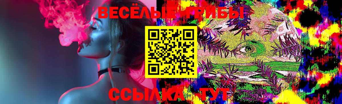Галлюциногенные грибы MAGIC MUSHROOMS  Вход с VPN  Новошахтинск 