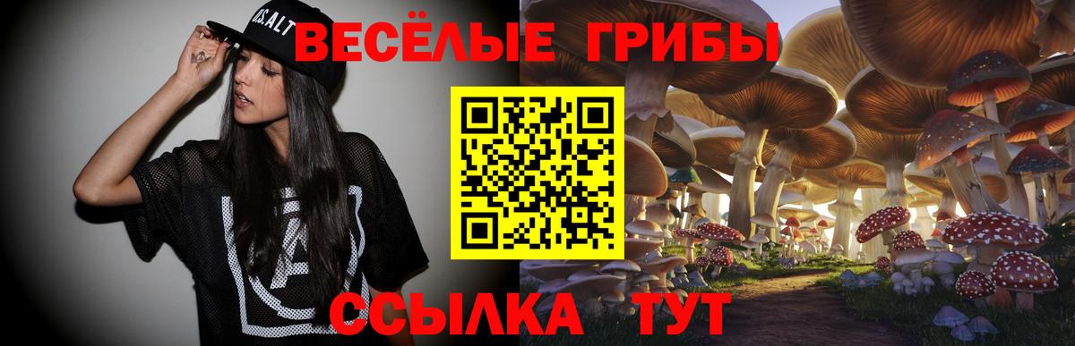Галлюциногенные грибы Magic Shrooms Новошахтинск